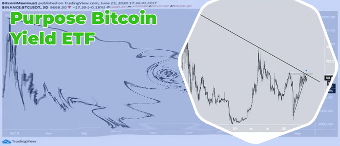 Bitcoin distribution chart