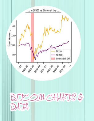 Bitcoin performance chart
