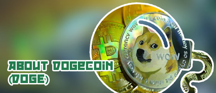Dogecoin transactions live