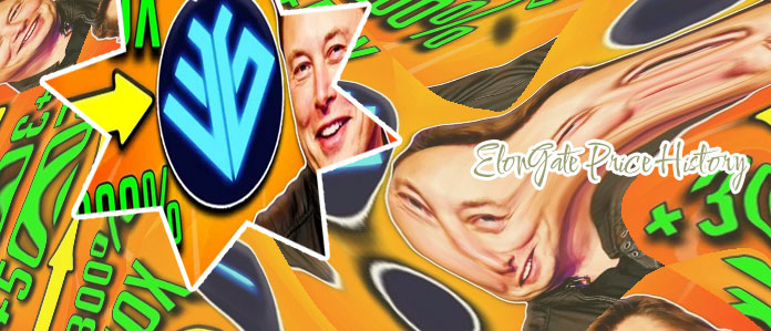 Elon gate crypto price