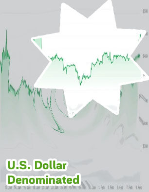 Us dollar cryptocurrency